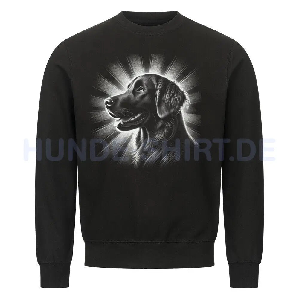 Premium Sweatshirt "Flat Coated Retriever - Shine" Schwarz – hunde-shirt.de