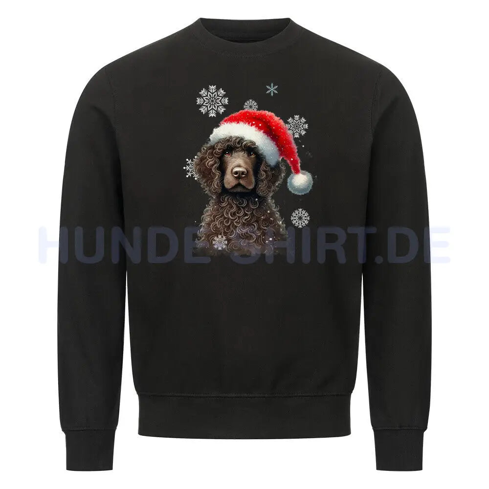 Premium Sweatshirt "Golden Doodle Winter" Schwarz – hunde-shirt.de