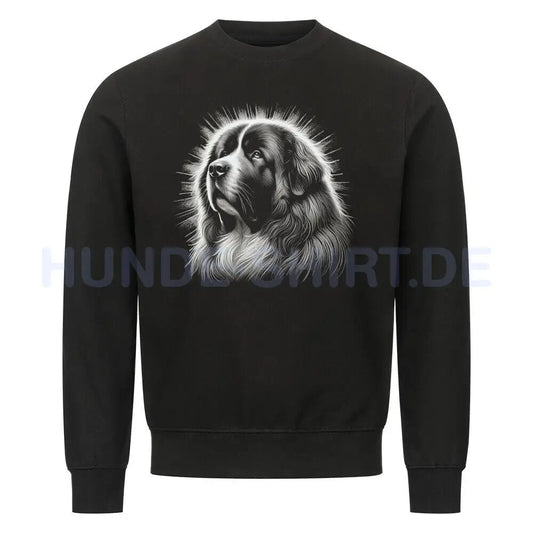 Premium Sweatshirt "Owtscharka - Shine" Schwarz – hunde-shirt.de