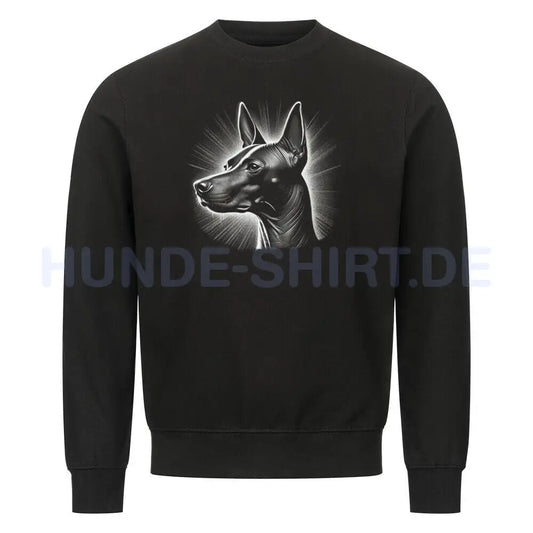 Premium Sweatshirt "Xolo - Shine" Schwarz – hunde-shirt.de