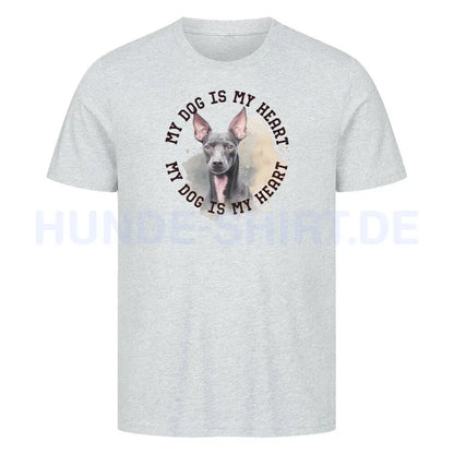 Premium T-Shirt "Xoloitzcuintle HEART" Heather Grey – hunde-shirt.de