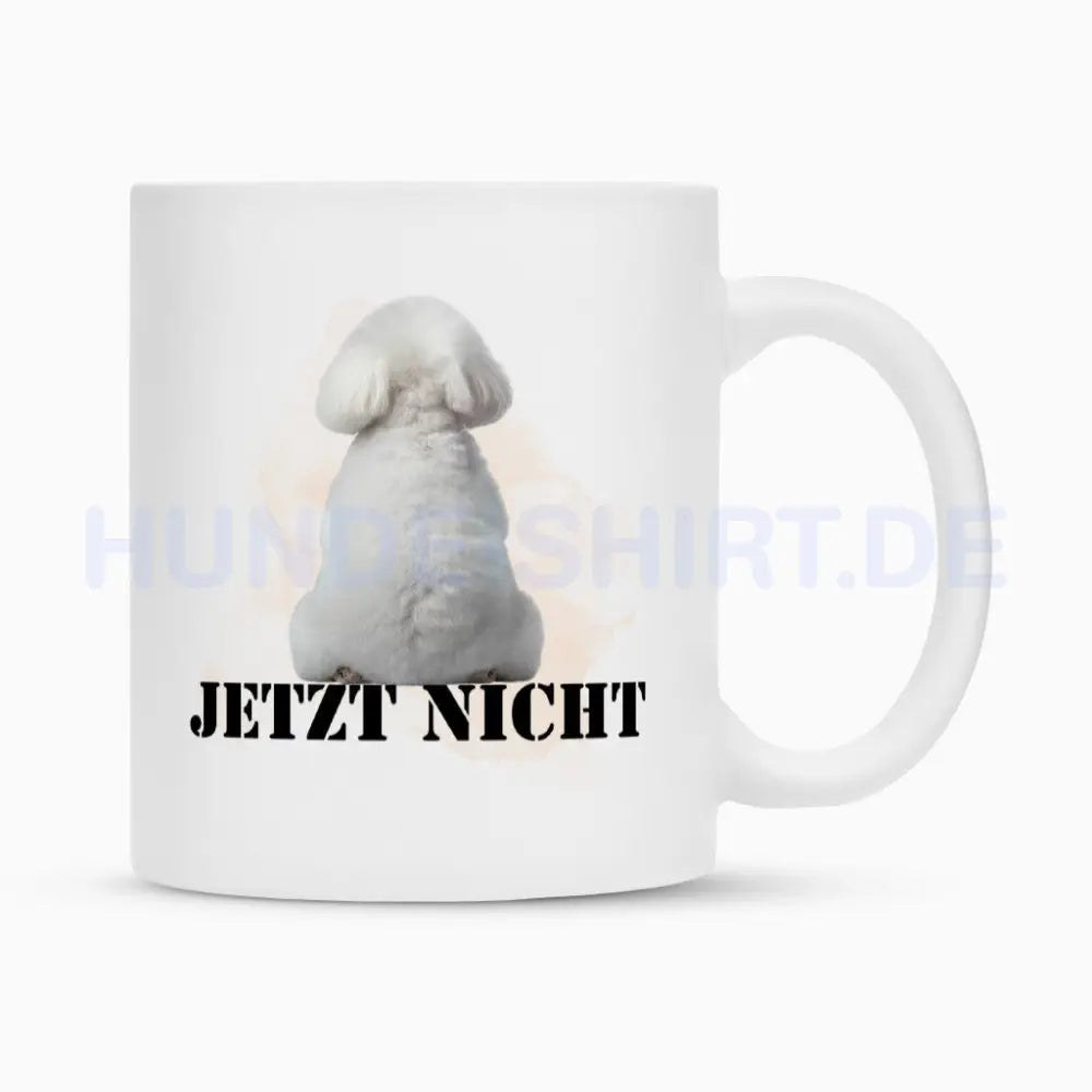 Tasse "Bichon Frisé - JETZT NICHT" Weiß – hunde-shirt.de