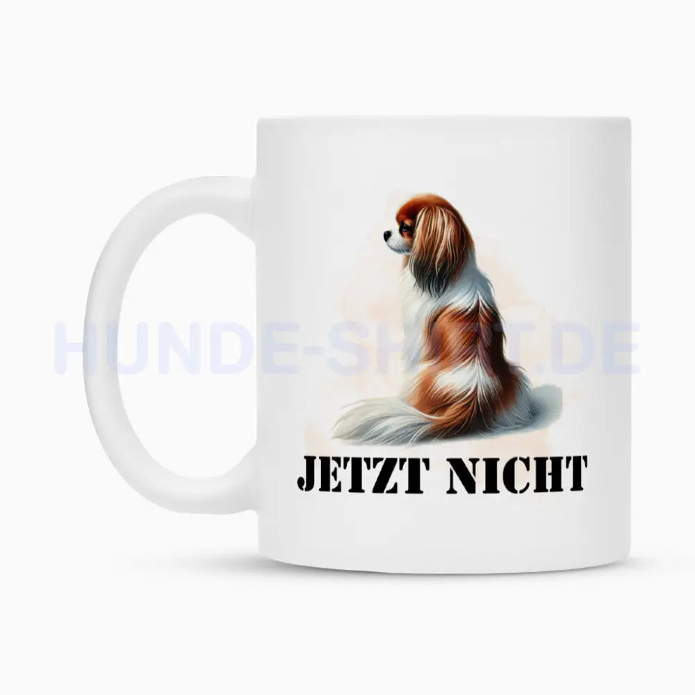 Tasse "Cavalier King Charles - JETZT NICHT" – hunde-shirt.de